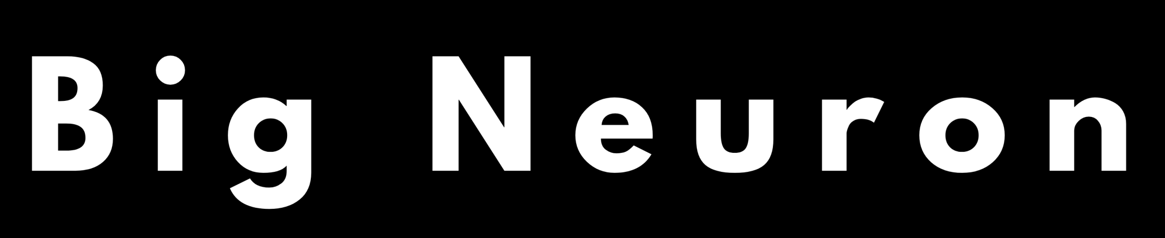 BigNeuronLogoWhite