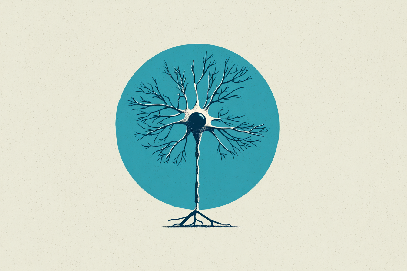 Big Neuron